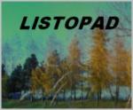 Listopad- aktualności