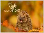 Wrzesień w przedszkolu