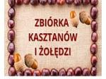 Zbiórka kasztanów i żołedzi